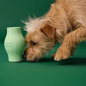 Earth Rated treat toy