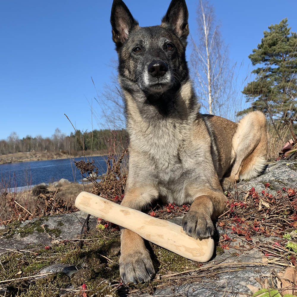 Ruffwood strong coffeewood chew - 6