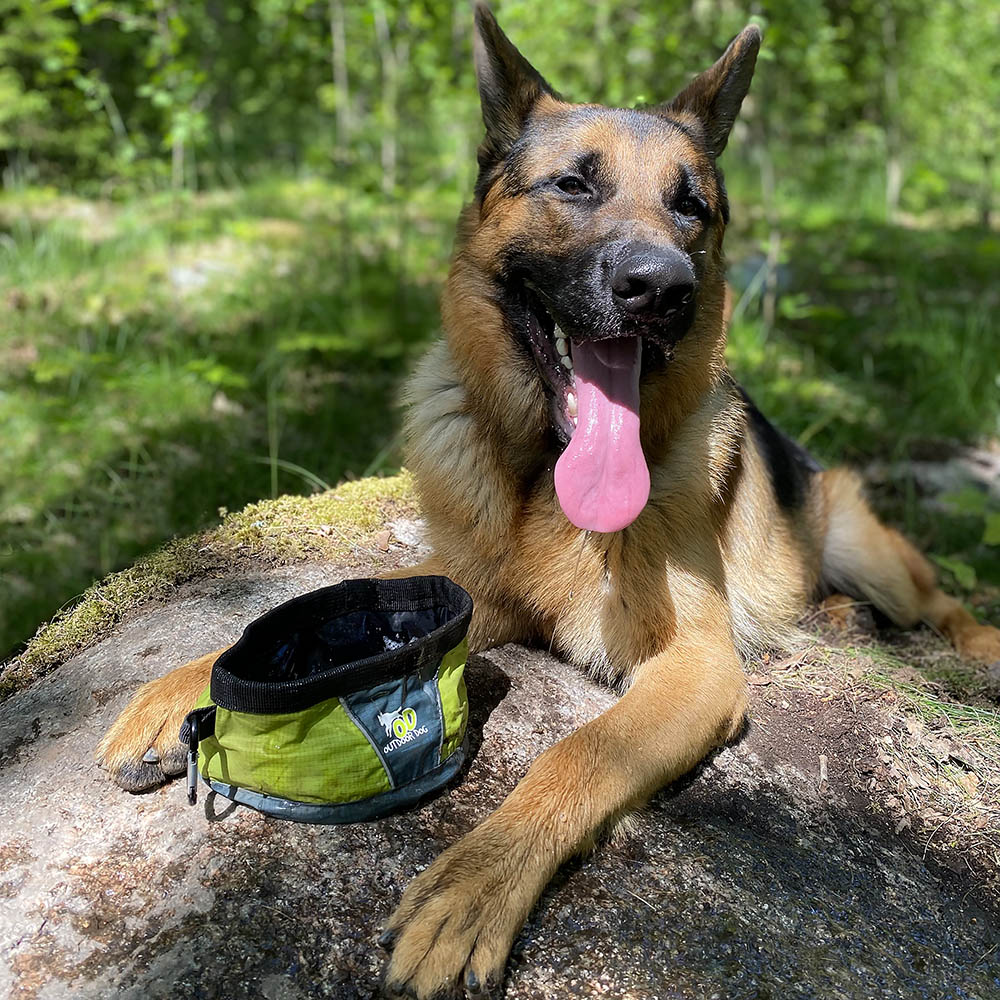 Dog travel bowl - 2