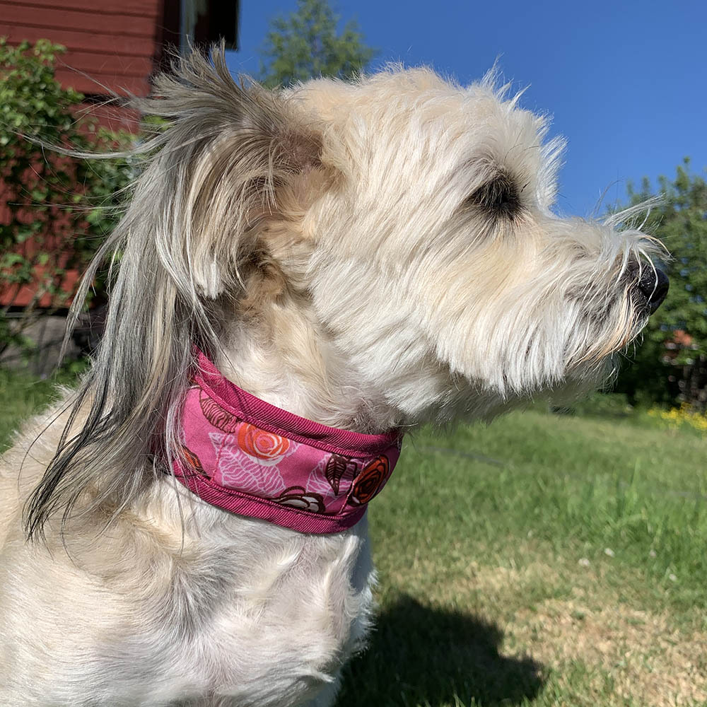 Cooling necktie for the large dog