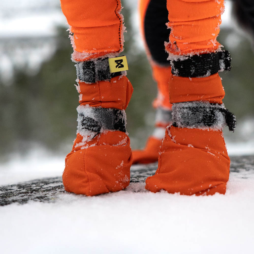 Non-stop Contact bootie high hundsko 4-pack - 3