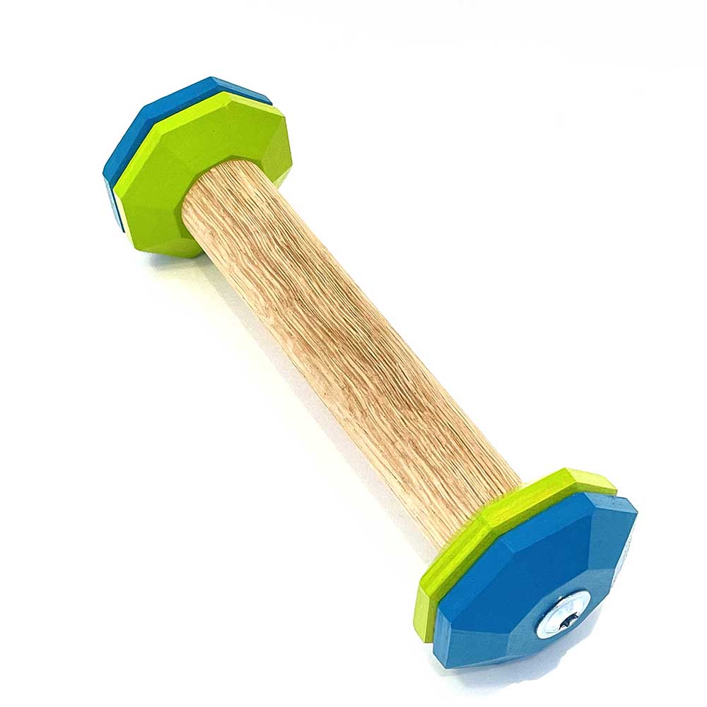 Dumbbell rally obedience - 5