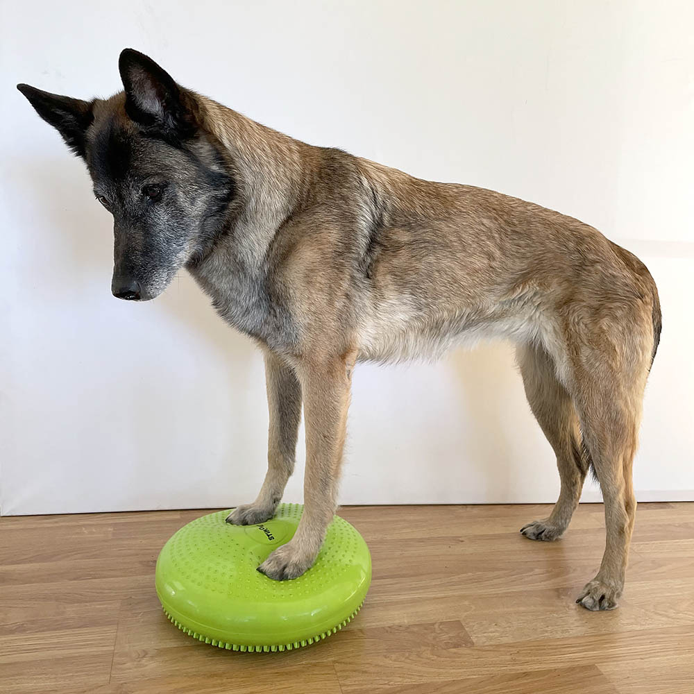 Balance disc with bumps - 36 cm - 4