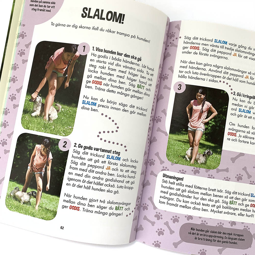 Bok om hundtrick av Jeanette Bergenstav