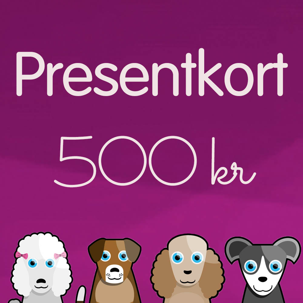 gift-card-sek-500-hansesg-rden-se