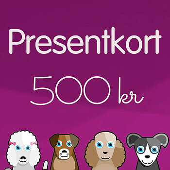 500 kr presentkort till student morsdag födelsedag från Hansesgården