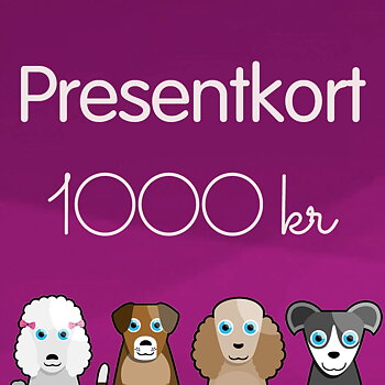 Bästa presenten till hundälskaren presentkort 1000 kr