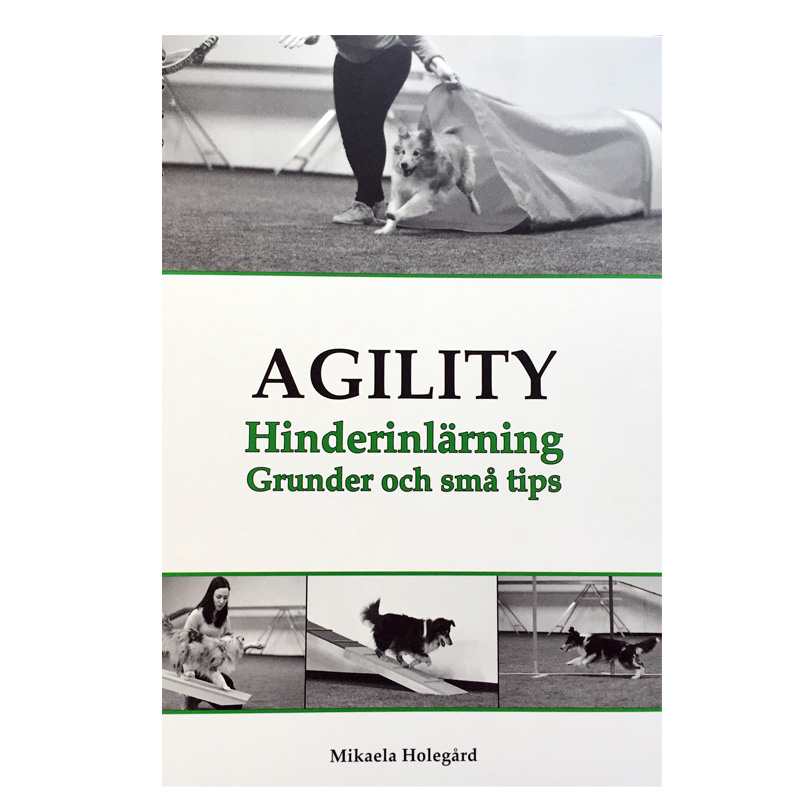 Agility - Obstacle Learning - 2