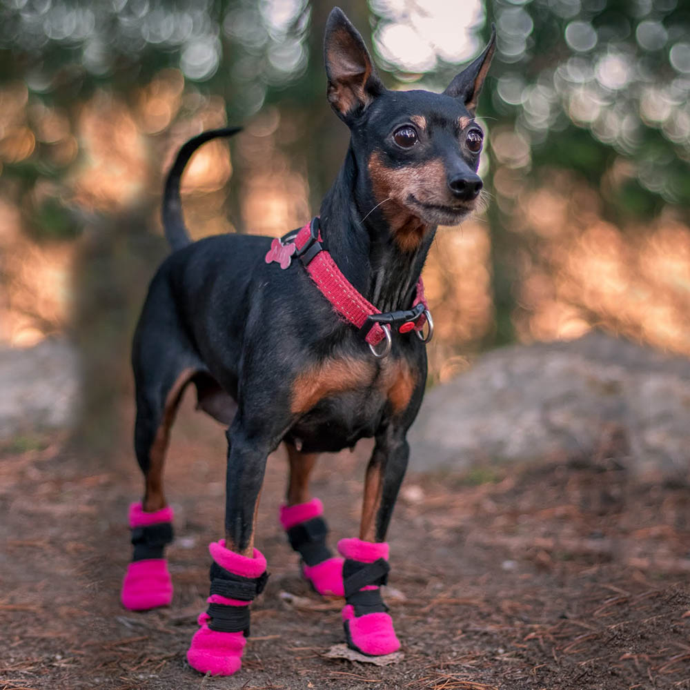 Halla booties - 4 pcs XXS - 10