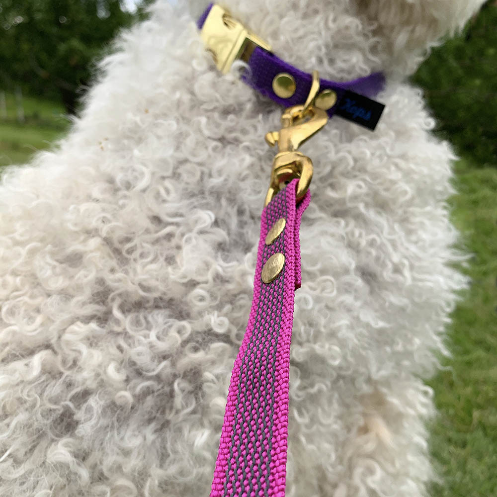Leash with super grip - 5