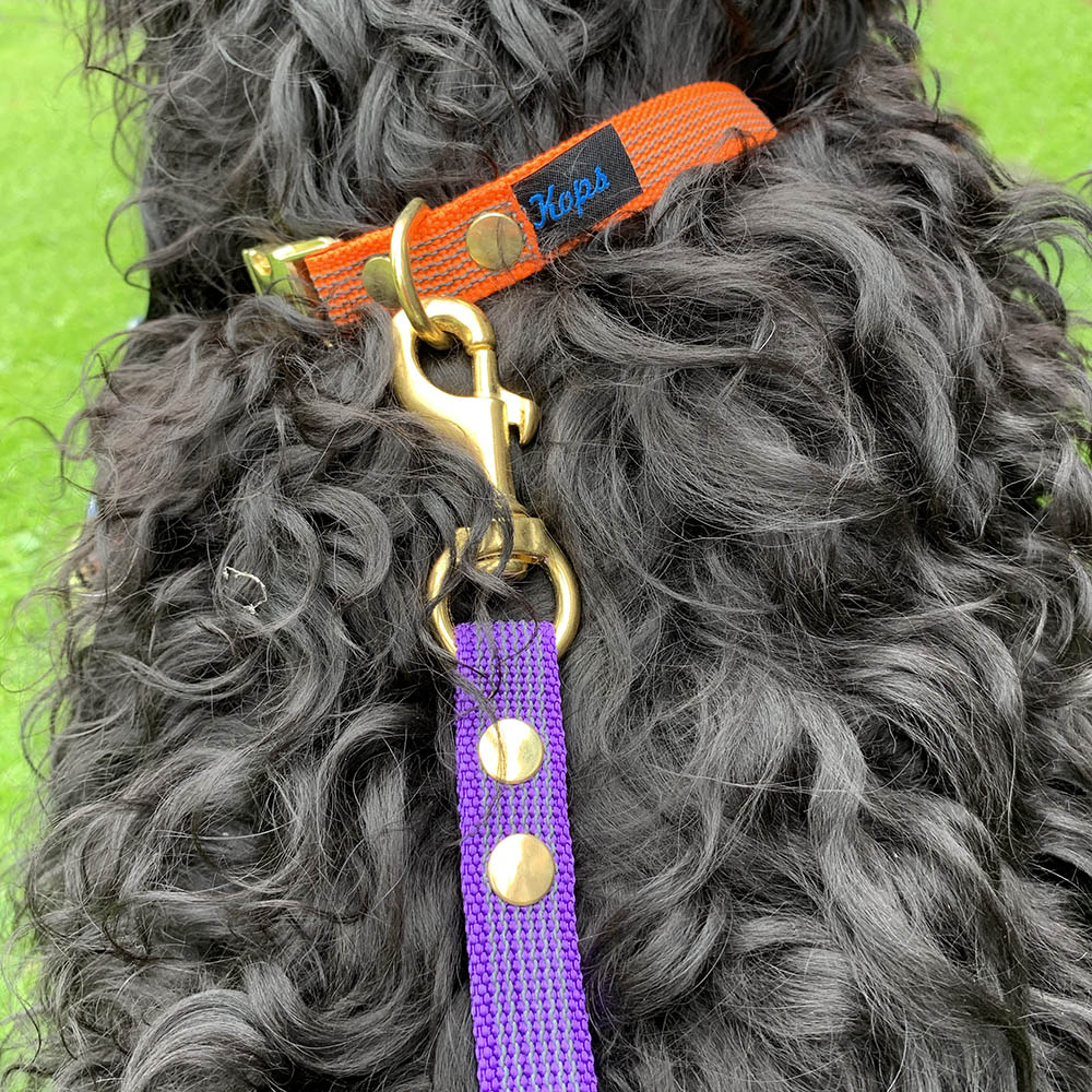 Leash with super grip - 6