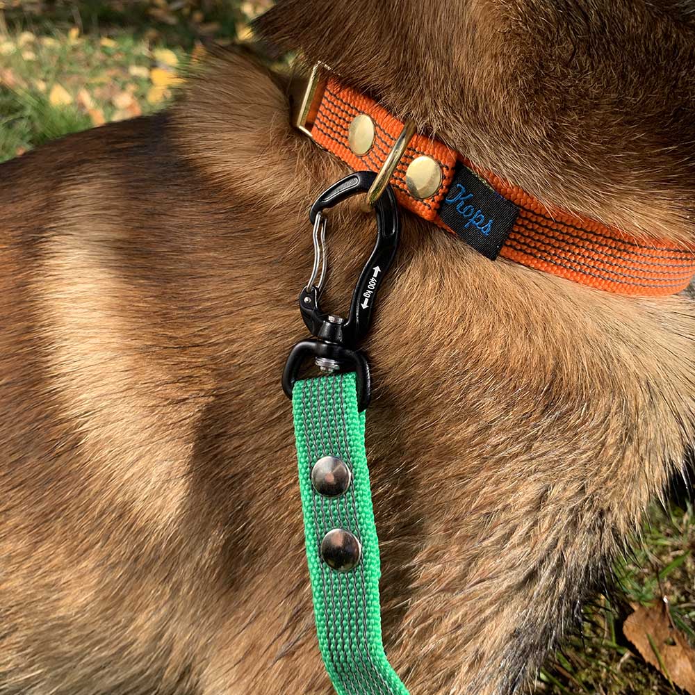 Dog leashes with good grip do not slip