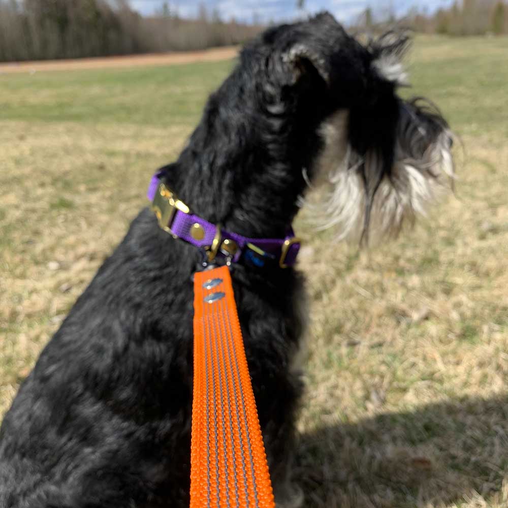 orange supergrip dog leash 2 meters long