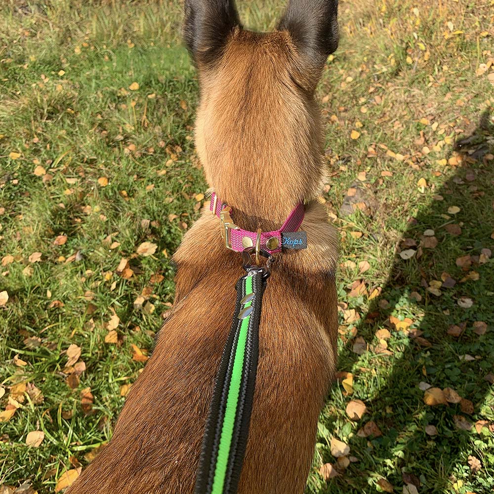 Leash with super grip - 4