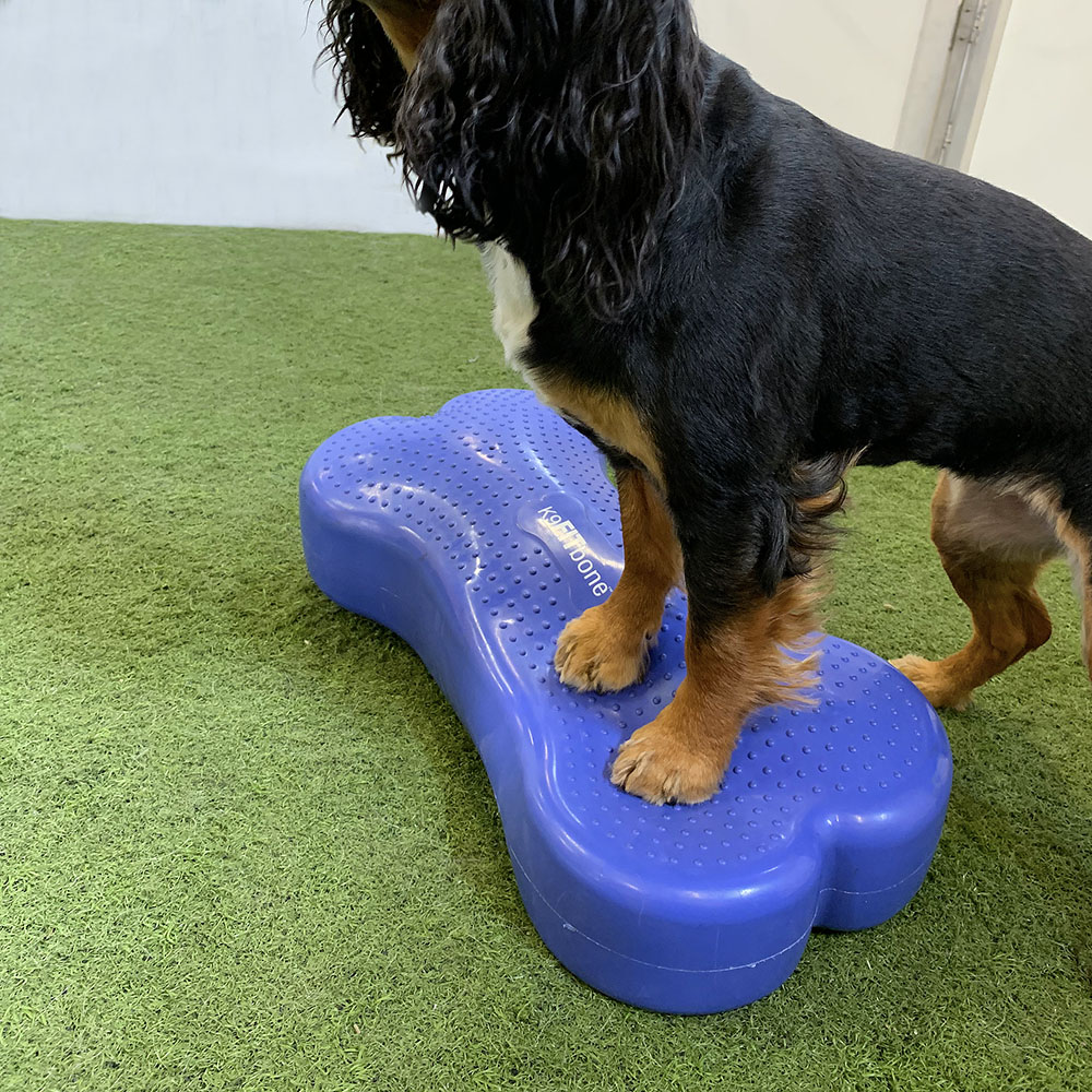 FitPAWS K9 Fitbone - 7