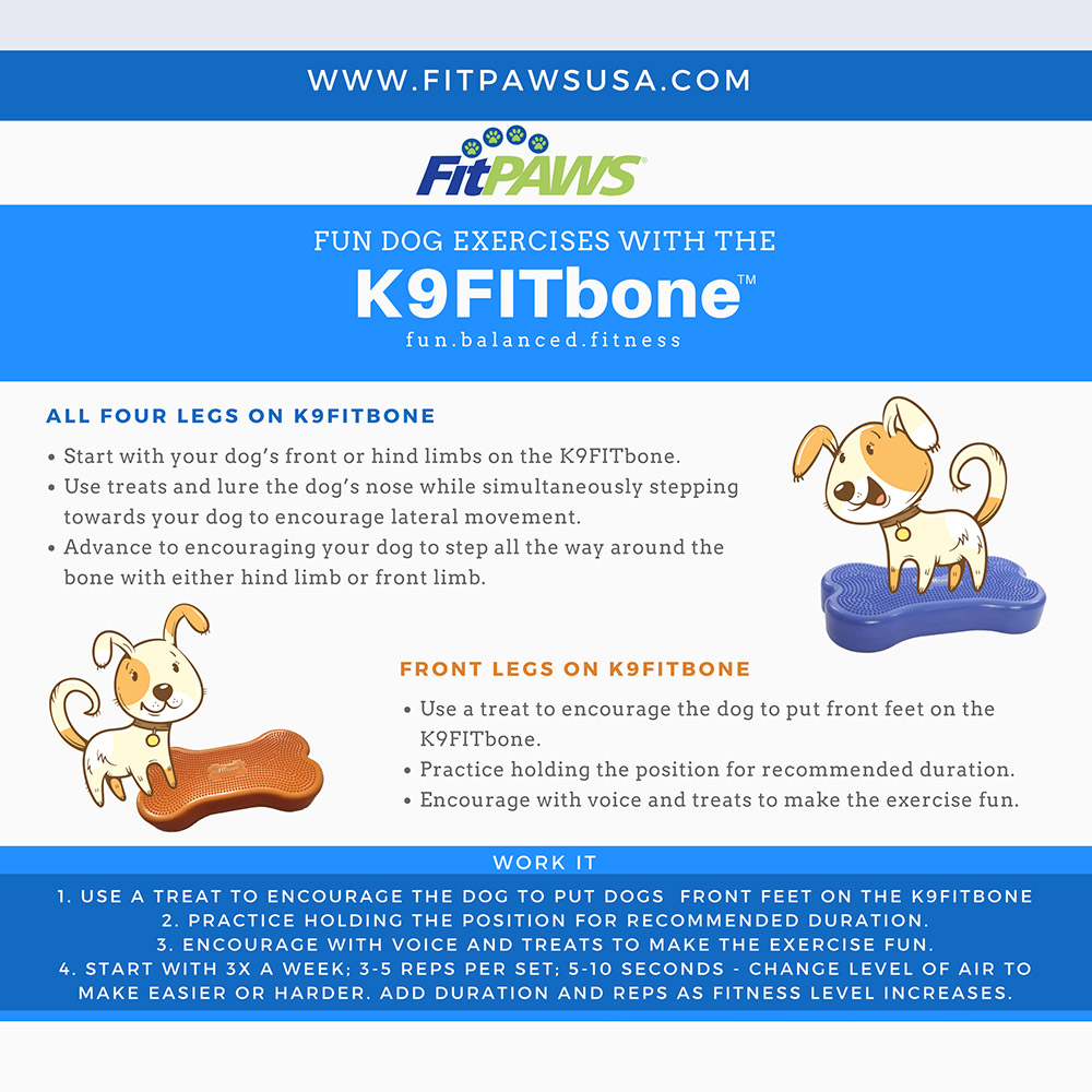 FitPAWS K9 Fitbone - 18
