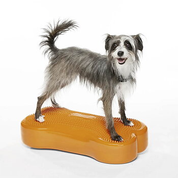 FitPAWS K9 Fitbone balansboll till hund