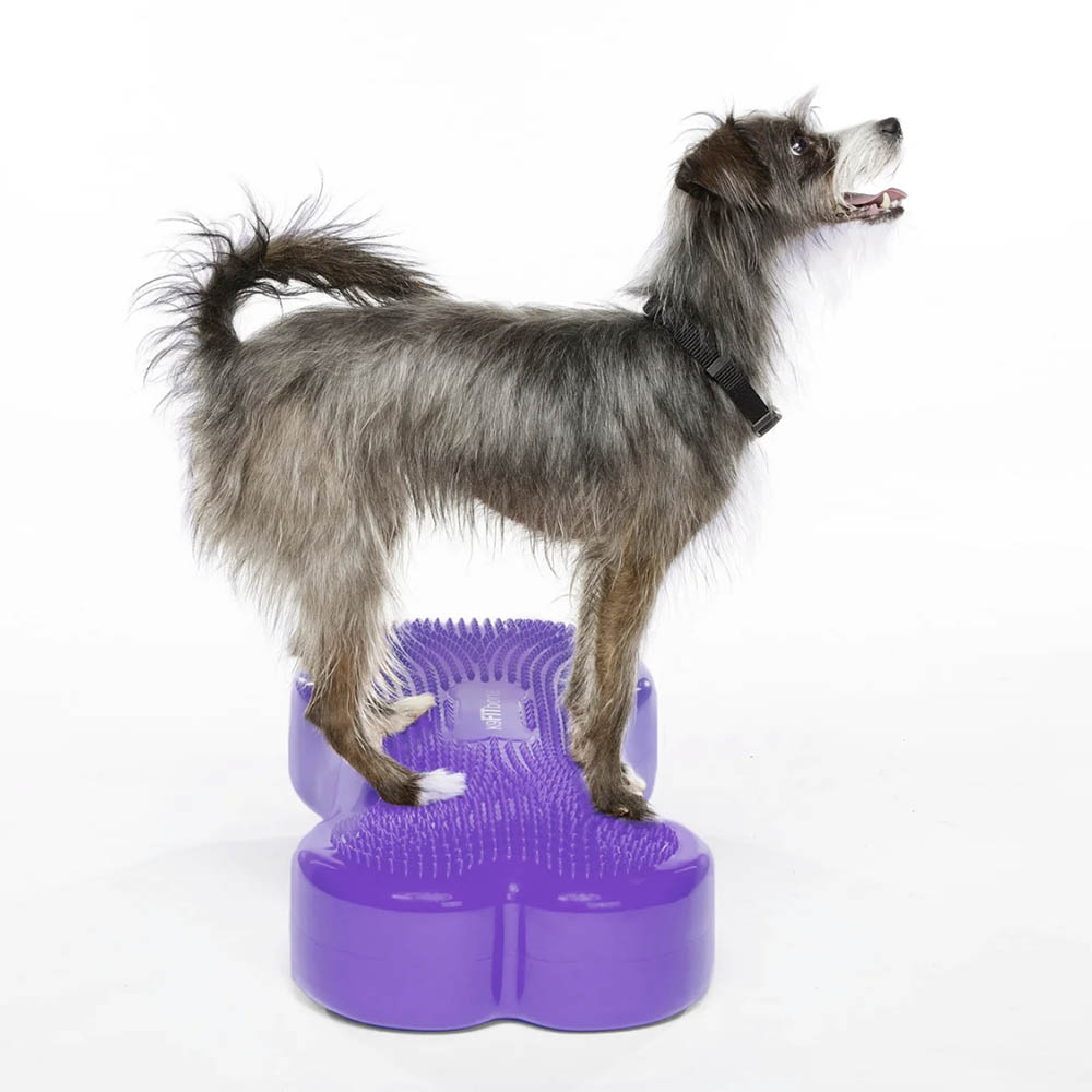 FitPAWS K9 Fitbone - 9