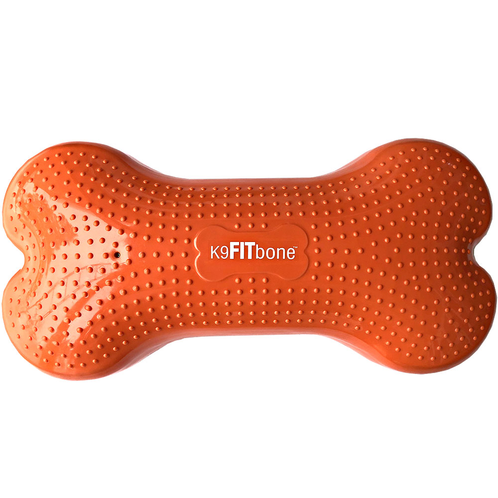 FitPAWS K9 Fitbone - 13