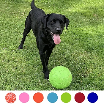 Jolly soccer ball dog toy