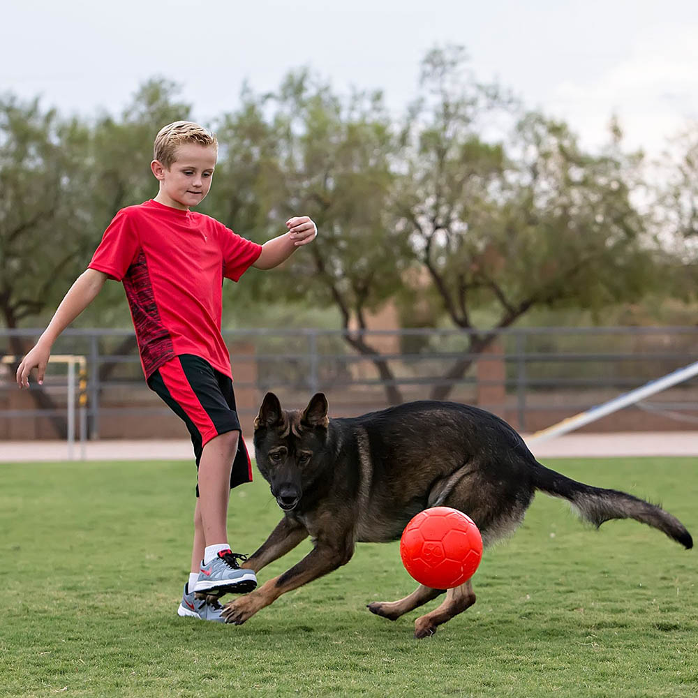 Jolly pets fotboll till hundleksak
