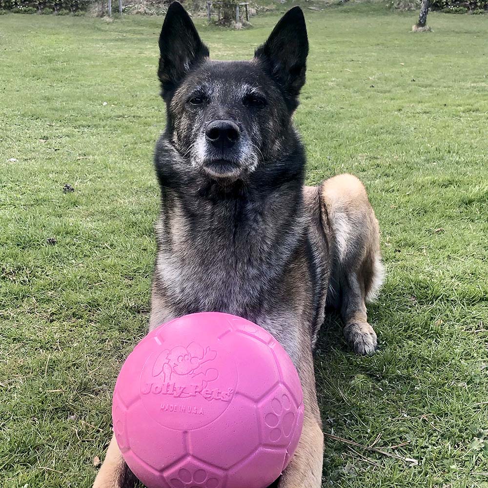 Rosa boll till din hund stor fotboll som inte blir platt