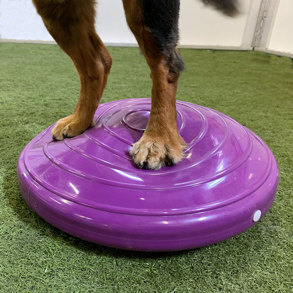 K9Design Disc - 2