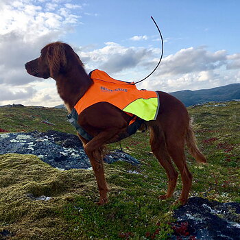 Non-stop protector vest GPS jaktväst till jakthund 