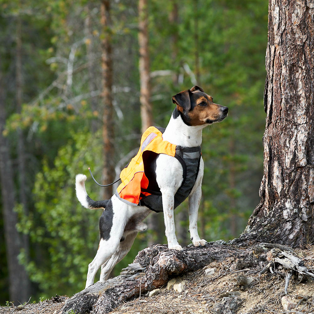 Non-stop protector väst med GPS ficka till jakthunden