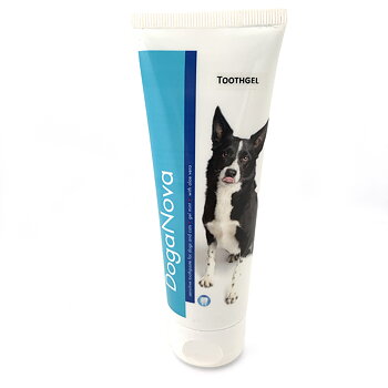 Toothpaste for dog