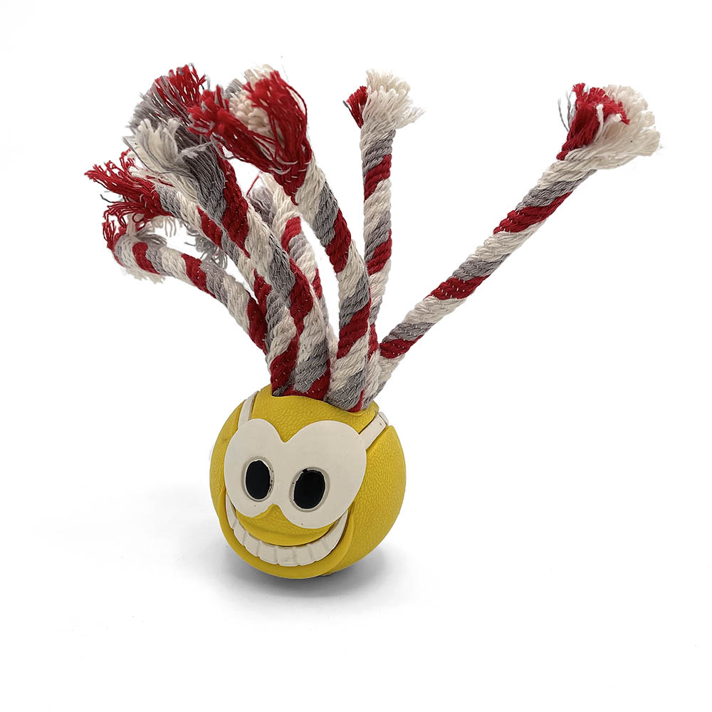 Chuckit Fanatic ball - 3