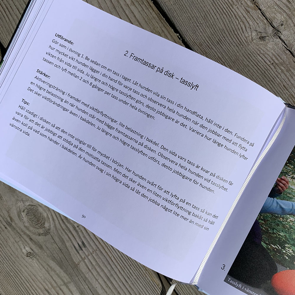 Hundbok om balansbollsträning