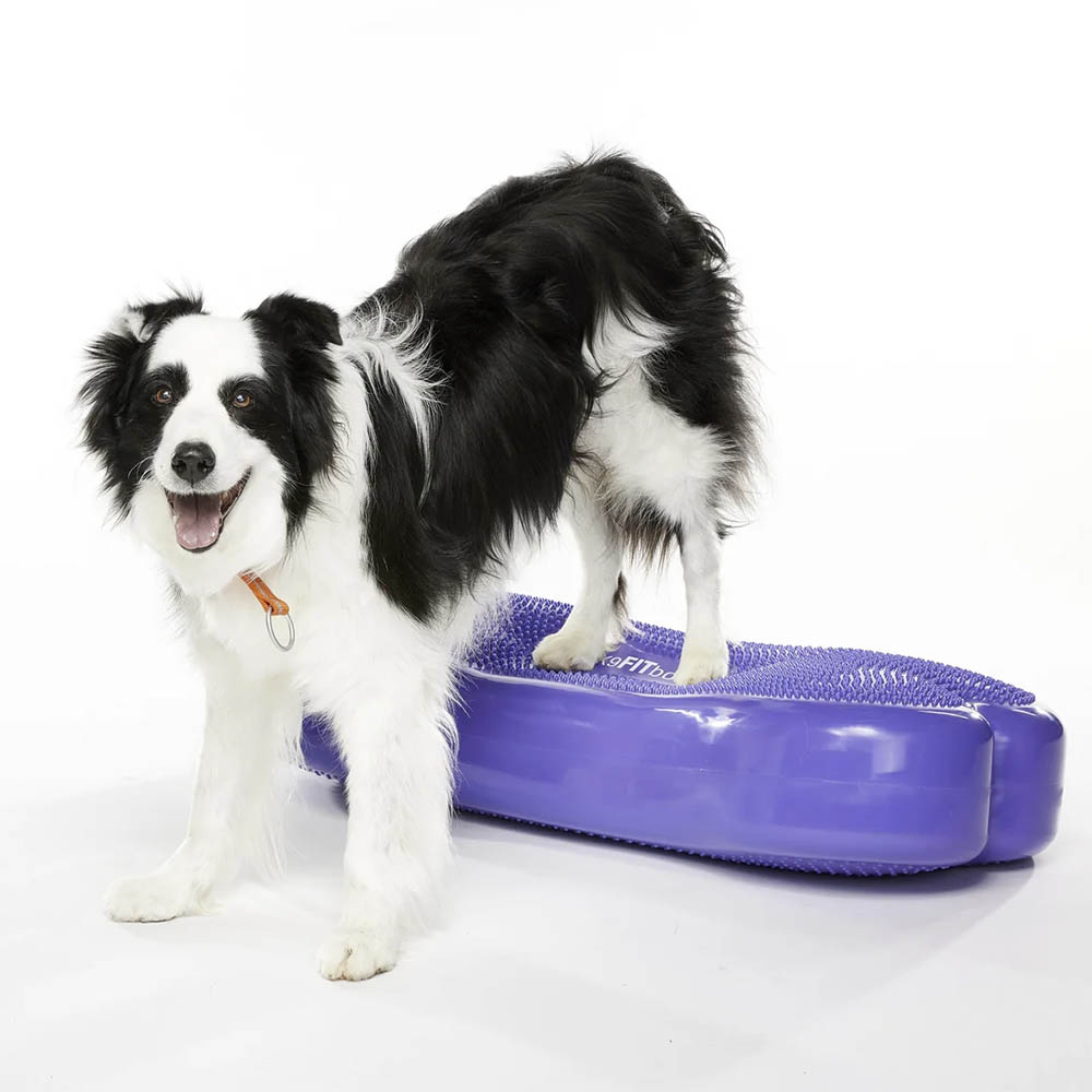 FitPAWS K9 Fitbone giant - 3