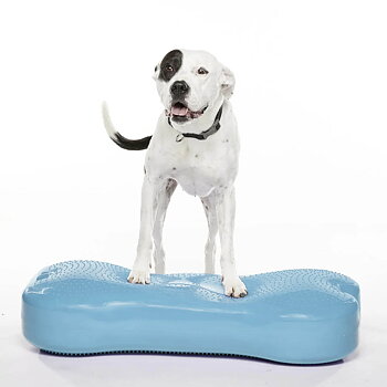 FitPAWS K9 Fitbone giant