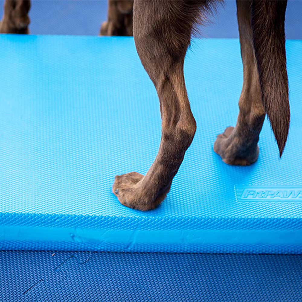 FitPAWS Balance pad - 2