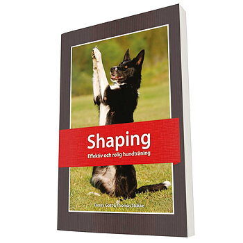 Shaping - effective and fun dog training