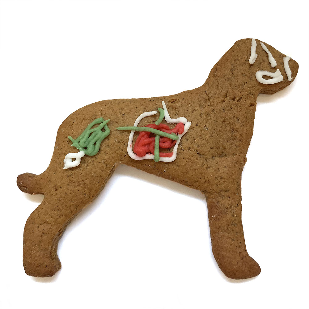 Gingerbread mold of a dog