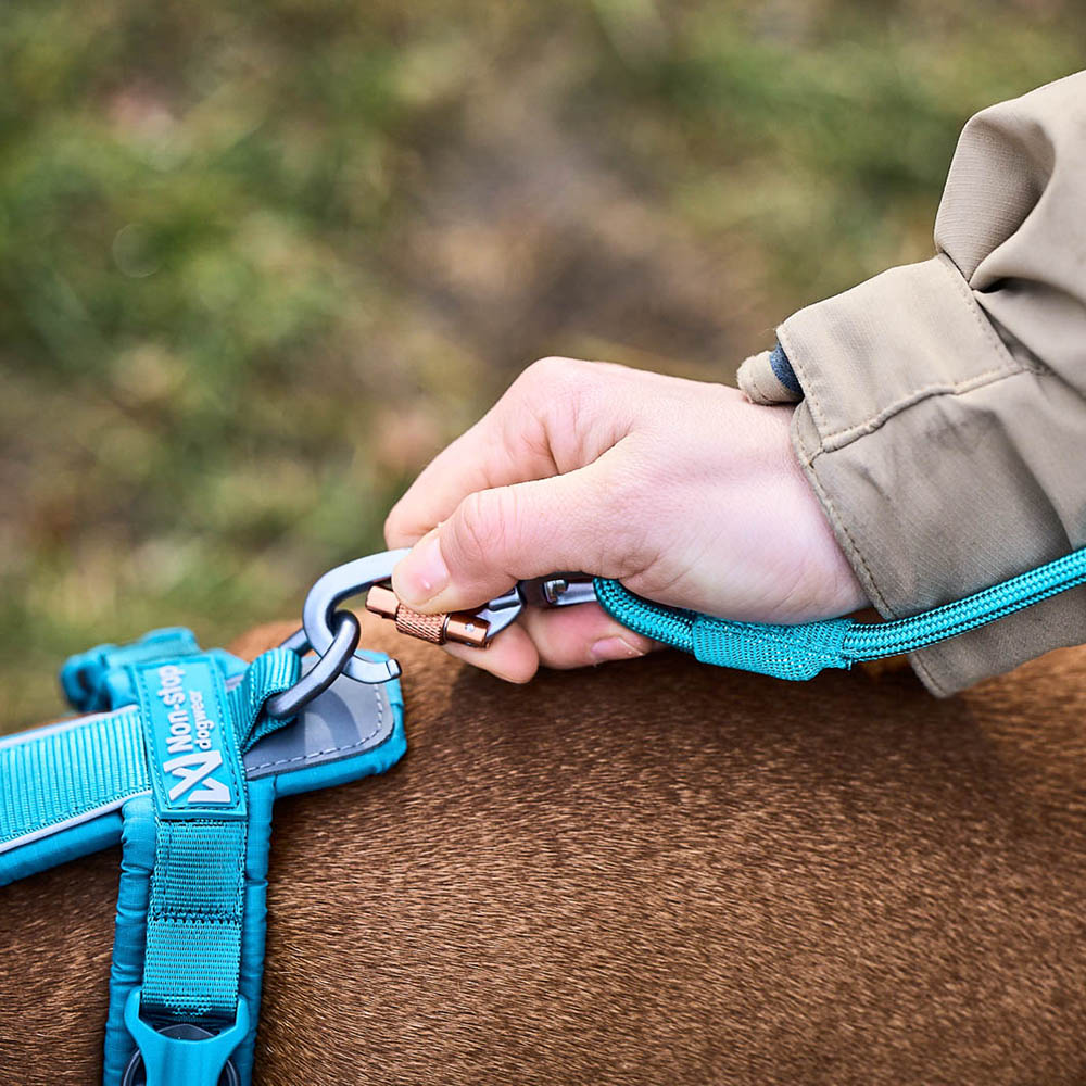 Repkoppel till hund Non-Stop trekking rope