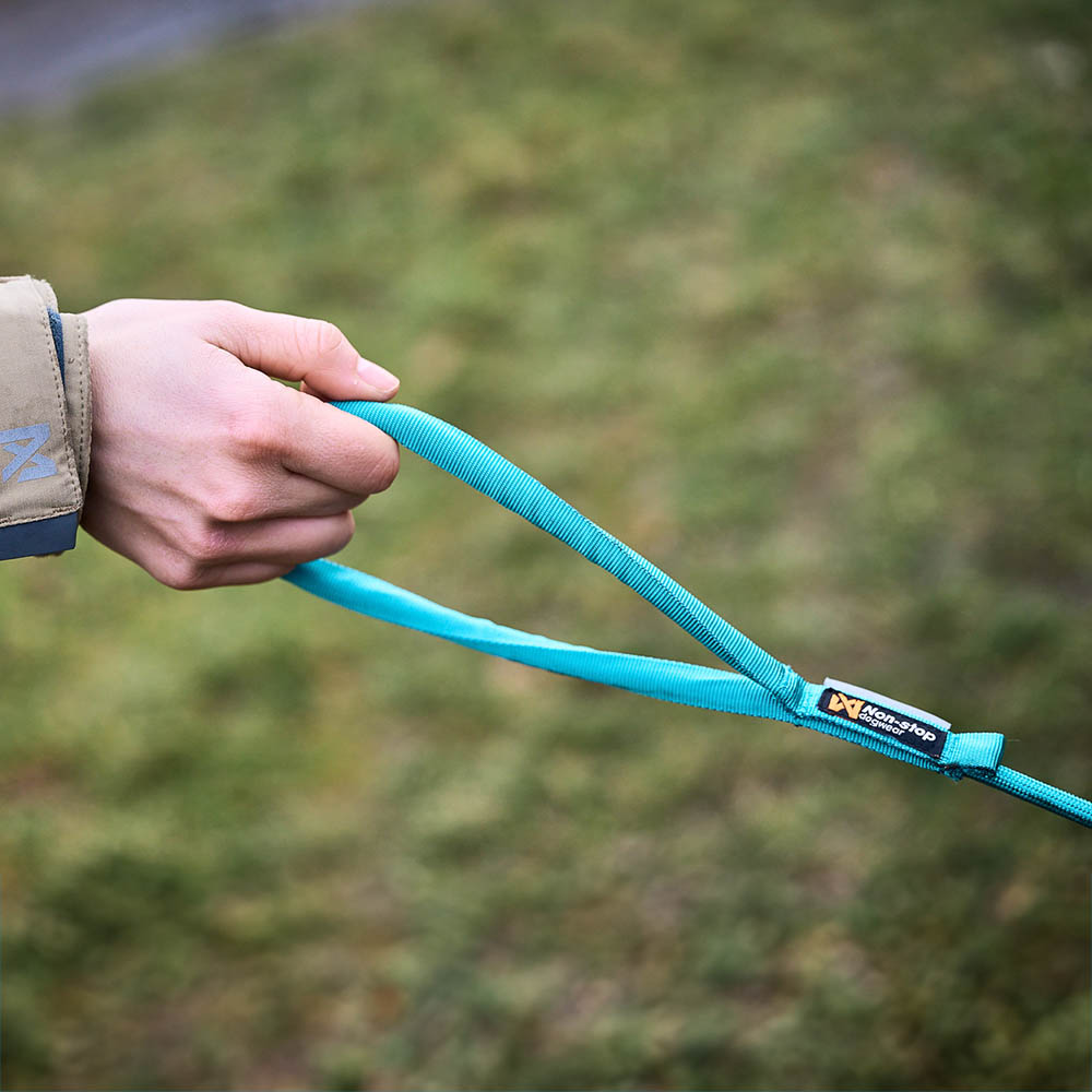 Runt hundkoppel teal blå eller orange 2 och 2,8 meter Non-Stop
