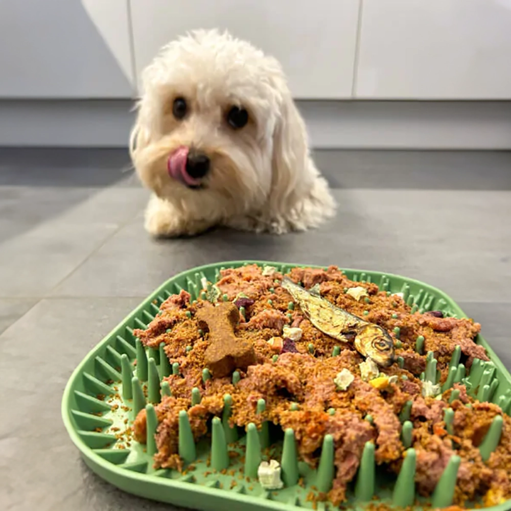 slow bowl for dog Fiboo