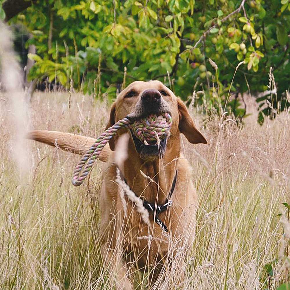 Rope ball with handle Beco pets dog toy