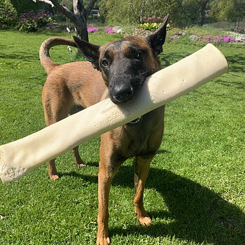 Tuggben till hund tillverkad av nöt från Rauh