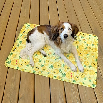 Självkylande dyna till hund och katt Ozami self cooling mat