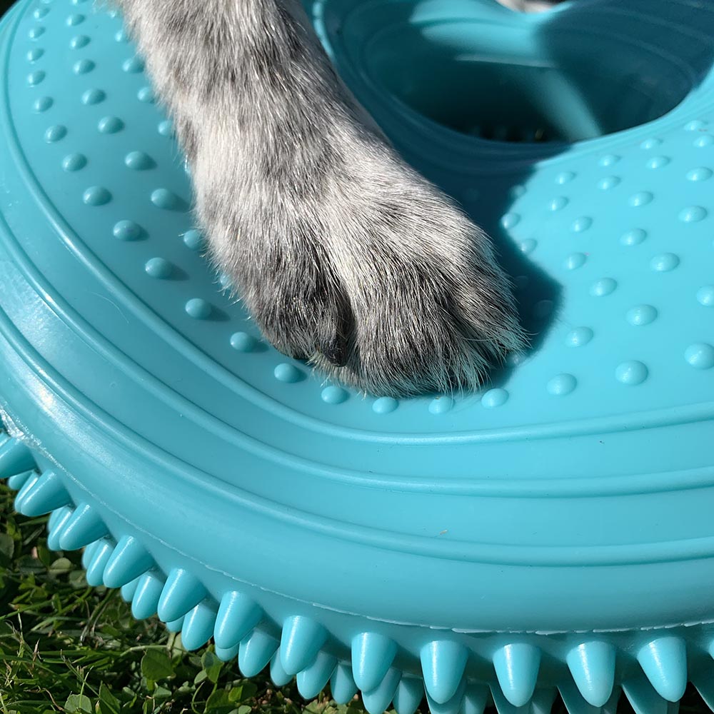 Flexiness Donut disc balansdisk med hål i mitten som en munk