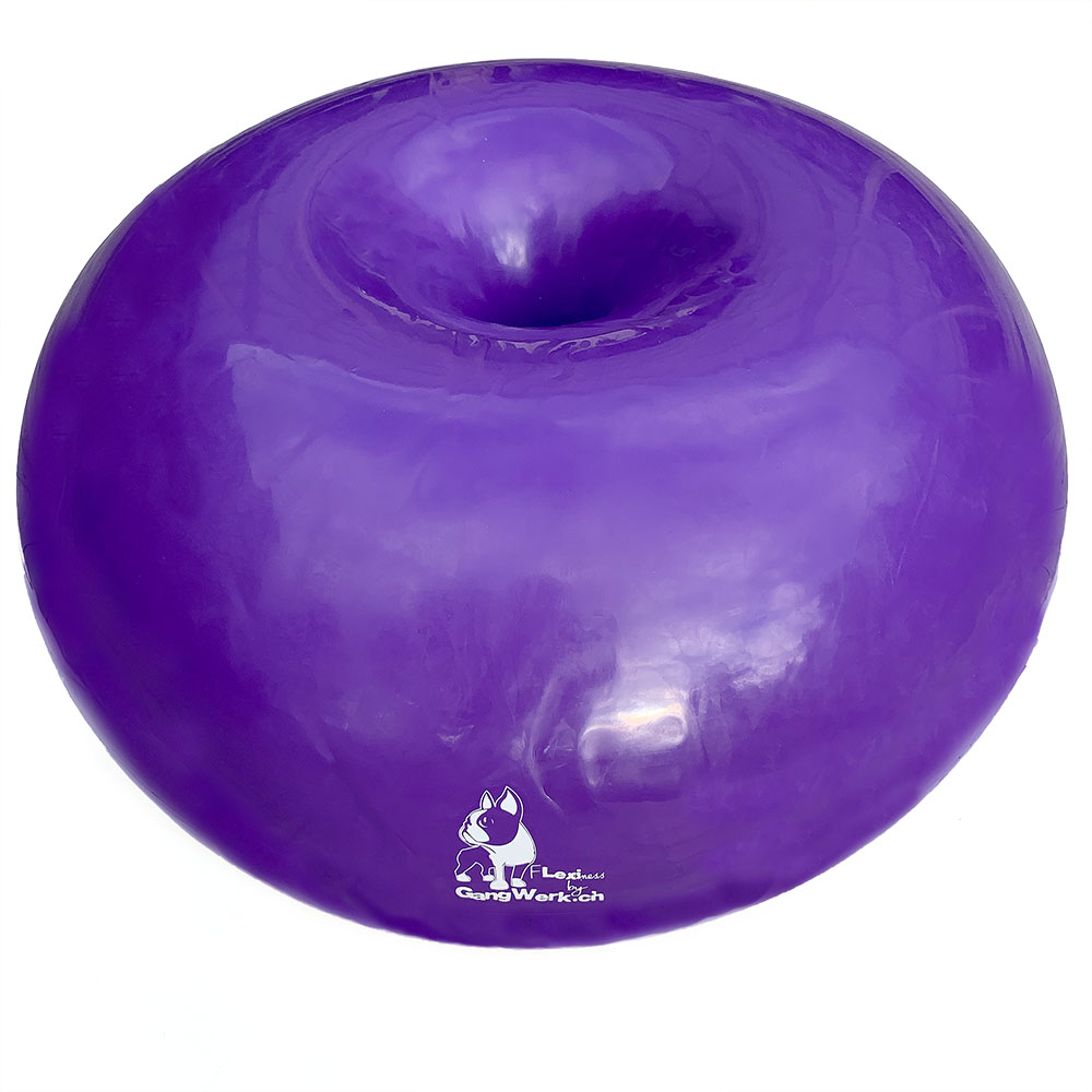 Stor balansboll donut ringboll munkboll till hundträning