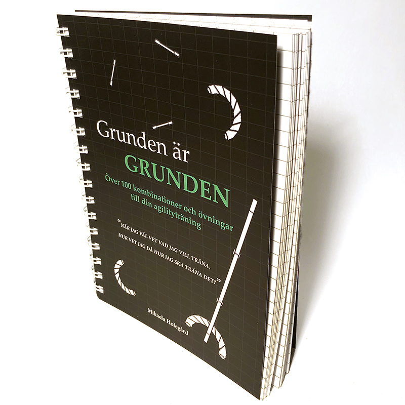 Bok: Grunden är grunden