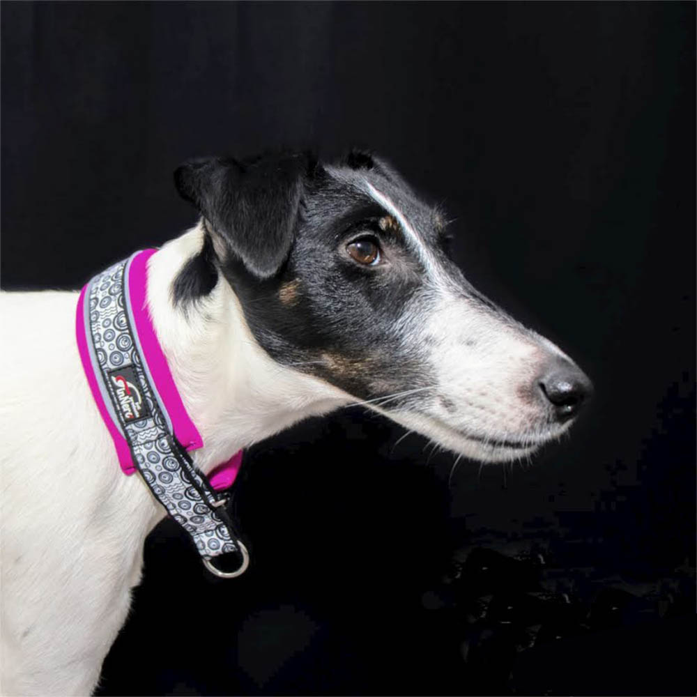 FinNero svart rosa orange turkos hundhalsband