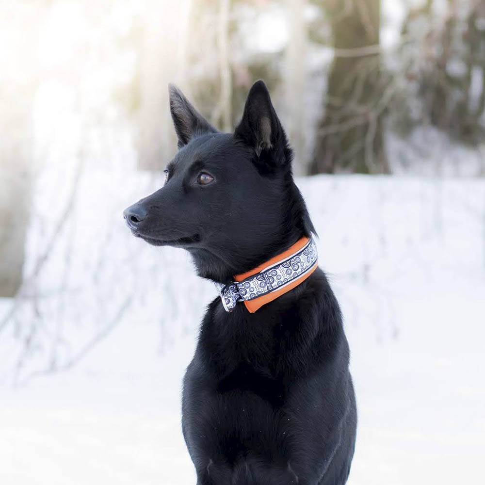 Ocean sport collar hundhalsband halvstryp