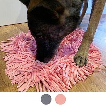 Aktivitetsfilt för hund