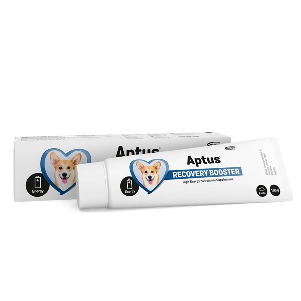 Aptus recobooster dog - energipasta för hund